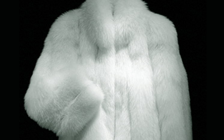 FUR FABRIC 1